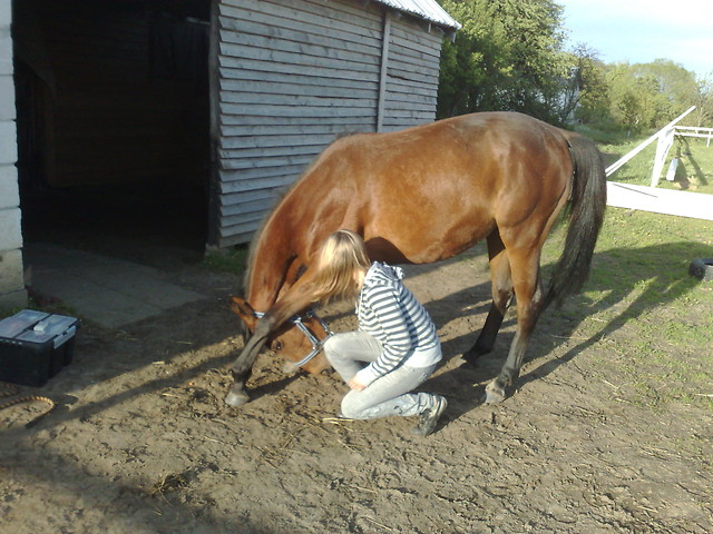 Wpis pikeur