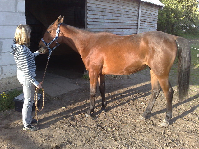 Wpis pikeur