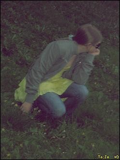 Jaa. ; p  