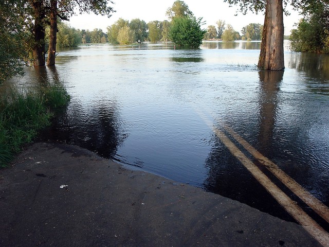 czwartek, 27 maja 2010