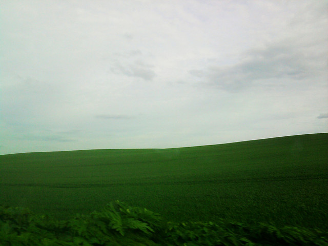 Wpis arunia