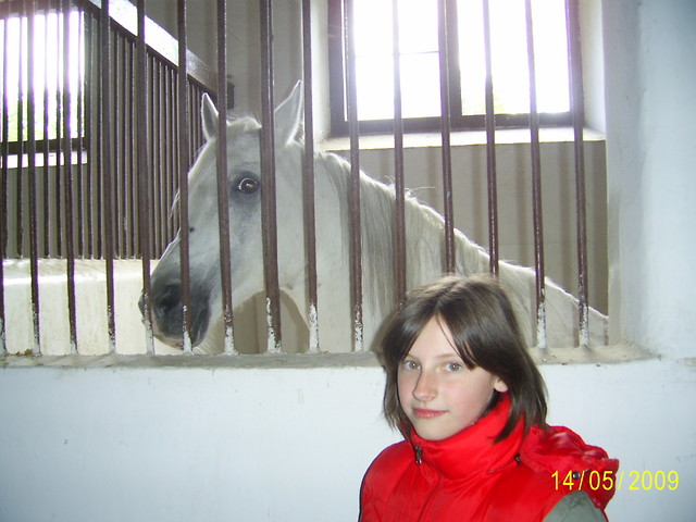 Hi ; D