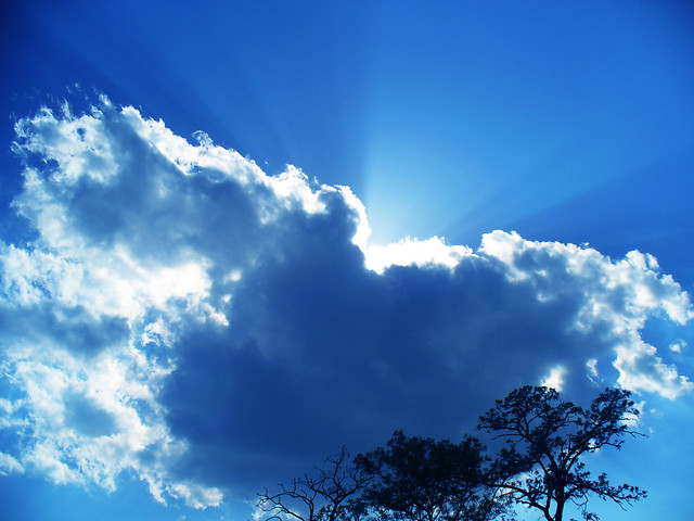 blue.