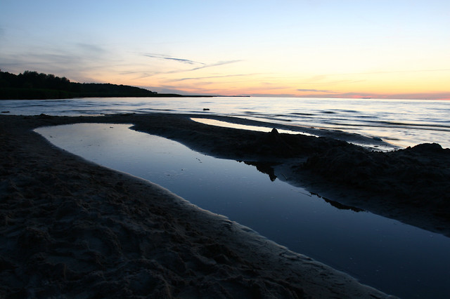 16. Trzebie