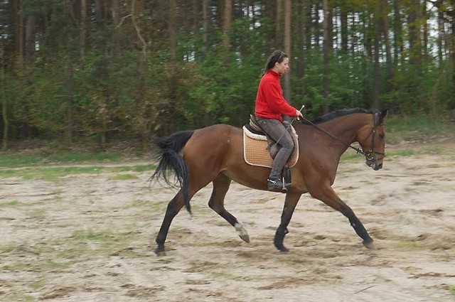 Riwella
