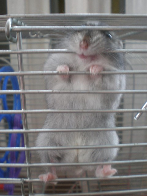 haha.Mery :))
