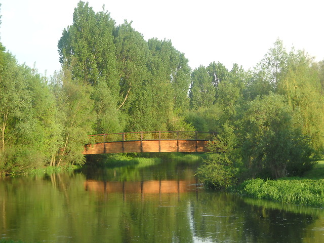 Brodnica 