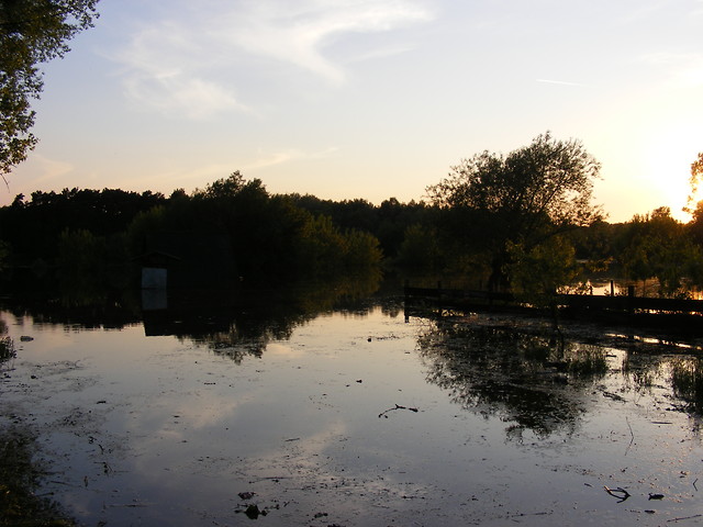 Warta