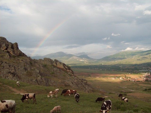 Macedonia