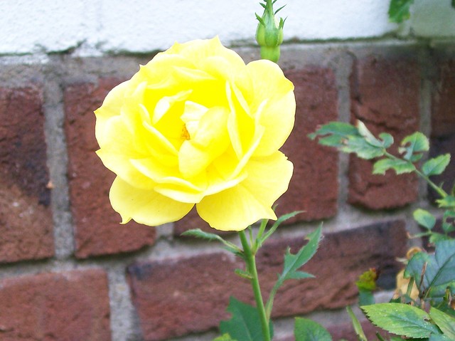 Wpis marzena0404