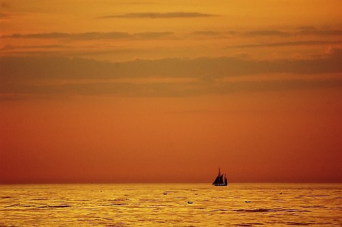 Golden Coast