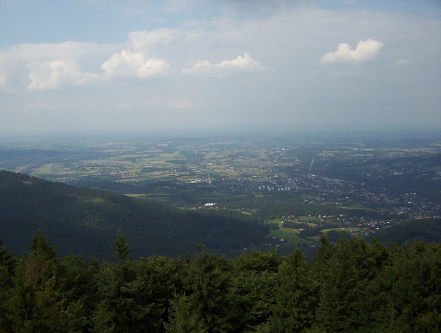 Nienawidze...