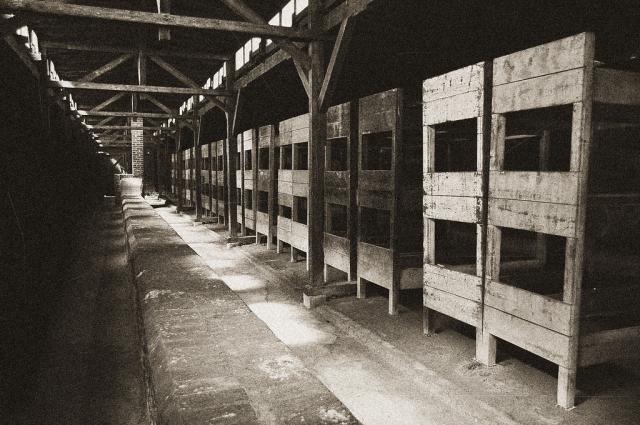 Auschwitz 