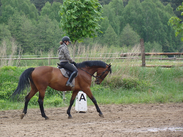 Konstelacja 