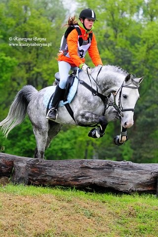 Wpis ksenia97