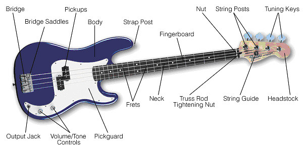 BUDOWA BASSU