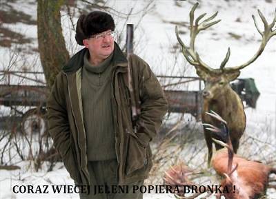 TYLKO JELENIE GOSUJ NA BRONKA