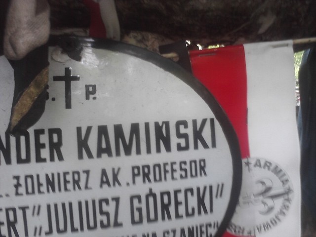 Wpis bujanyfotel