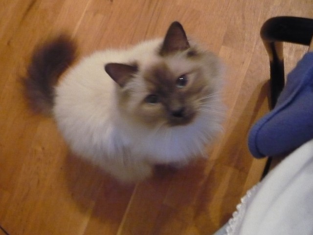 Charlie.