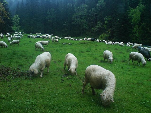 Wpis fajnymaszlogin