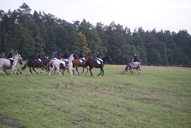 Hubertus 2009r.