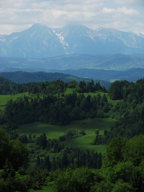 Tatry z Palenicy.