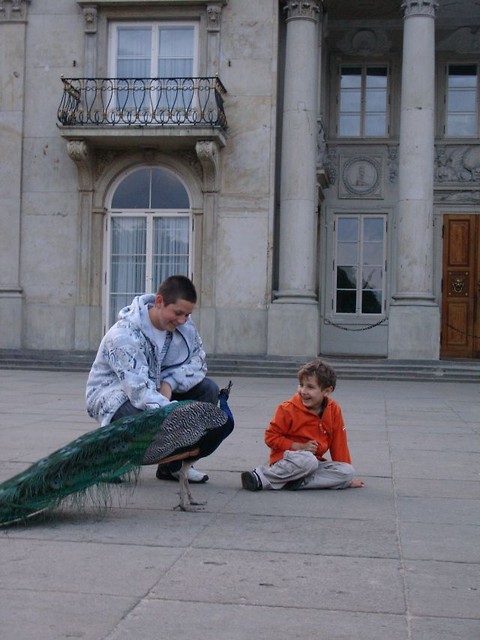 Kto mwi e to gob. Trudno..