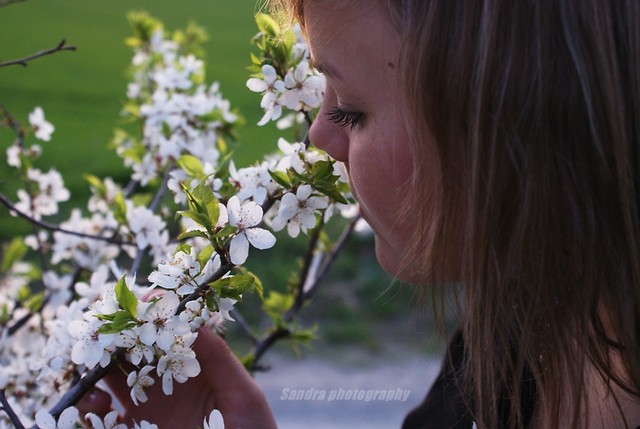 40. - Benia. ;*