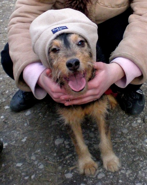 co to za dog...?