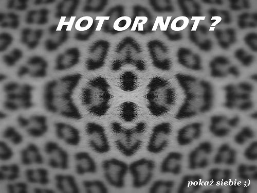 Wpis hotvsnot