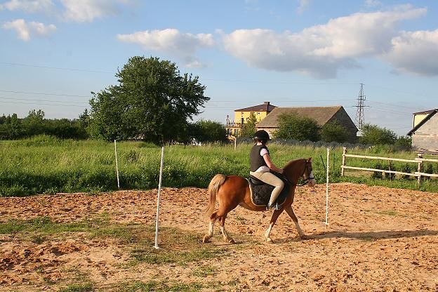 Slalom gigant
