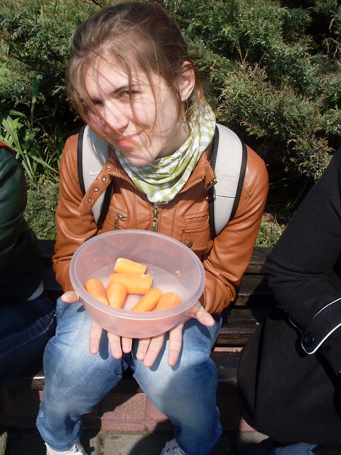 Wpis gikusia
