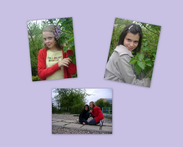 Myy