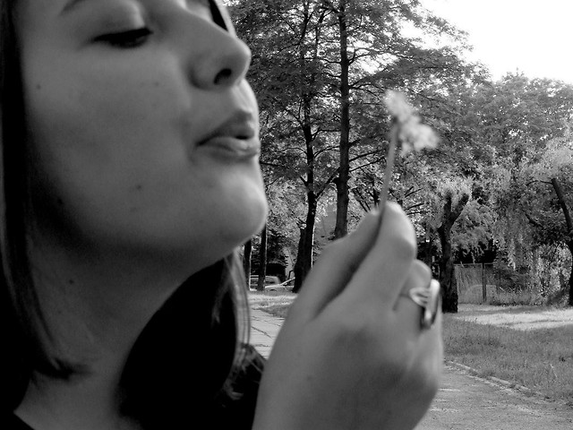 chore ssiadw sny...