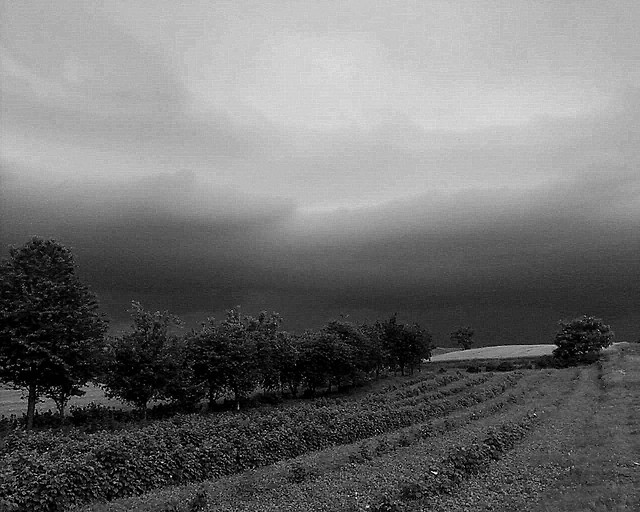 Uratuj Ci znowu ycie.