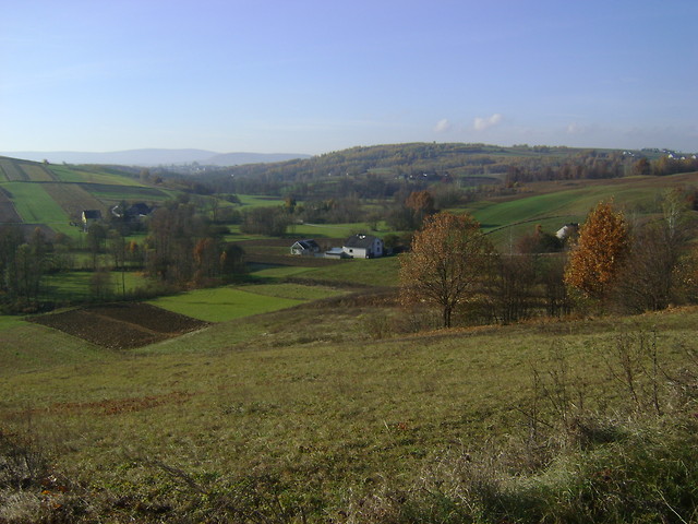 Radkowice Kolonia