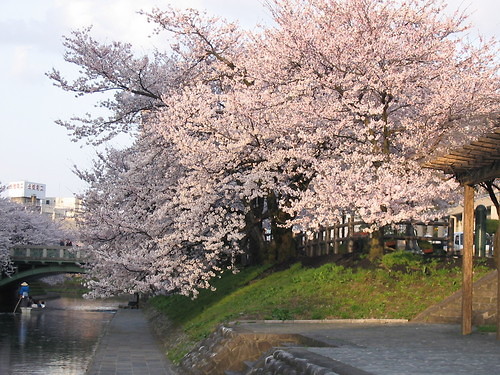 Wpis japonia69