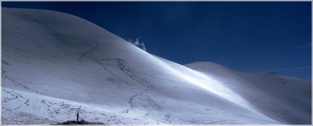 Cortina kwietniem