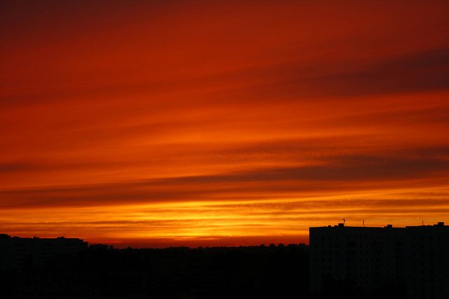 bloody sky