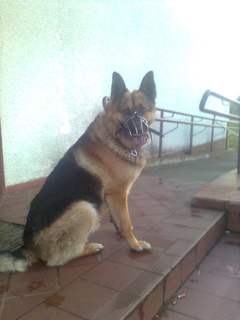 Wpis zu02