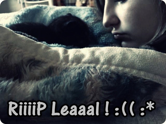 Wpis aarrrr