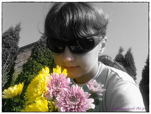 Wpis sszalonaaaaxd
