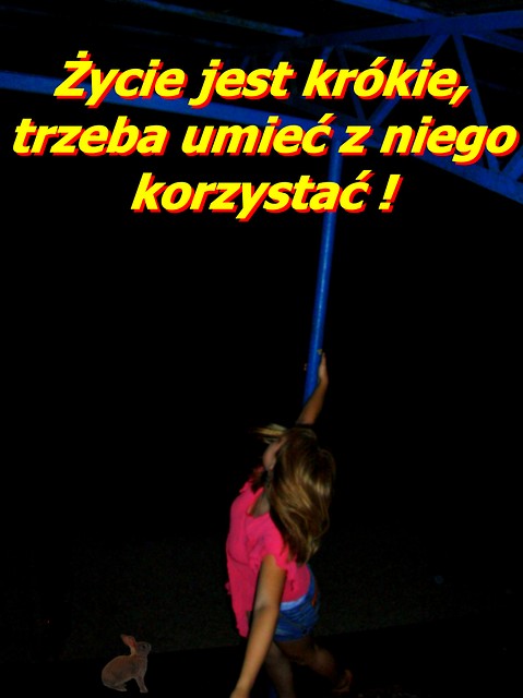 Szalestwo..