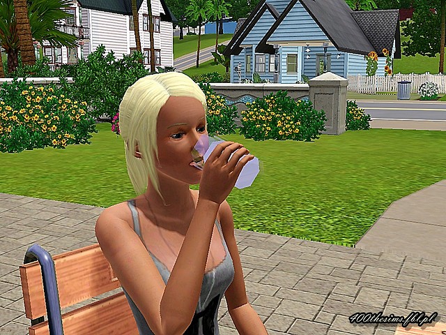 Wpis 400thesims
