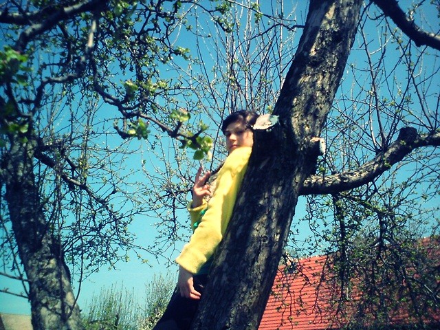 Drzewko. xdd 