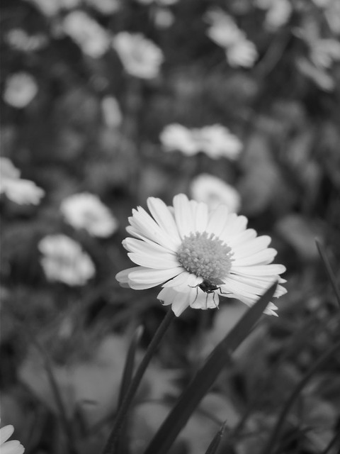 Stuck in a moment 