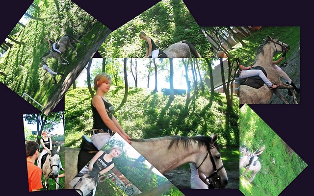 konik:)