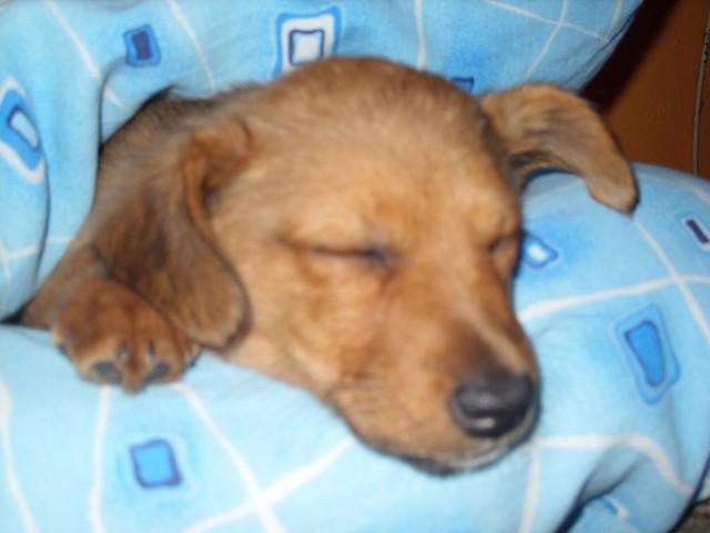 Jimmy