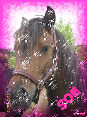 SOE   :-)