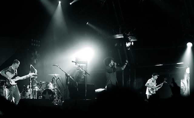 Wpis zebrahead
